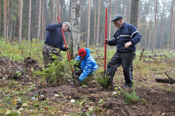 в лесах увековечить память.JPG